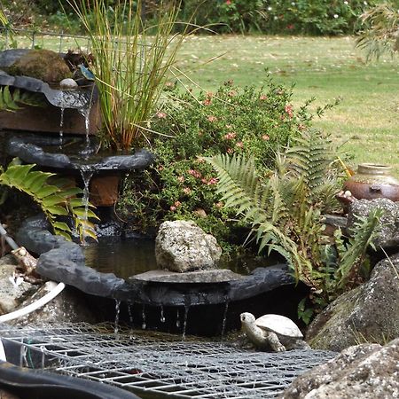Bed and Breakfast Quiet Waters Ohaeawai Exterior foto